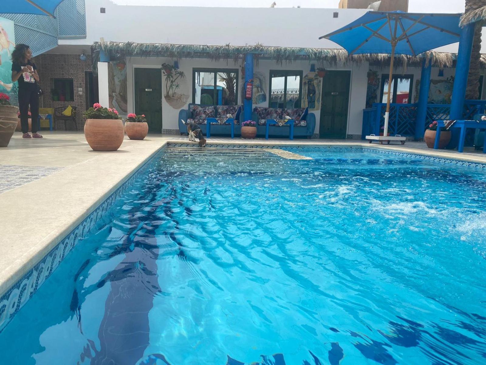 Hotel Chillax Dahab Exterior foto